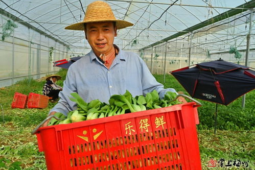 小特色撬動大產業 梅江區苗木產業的市場化、產業化、品牌化路徑